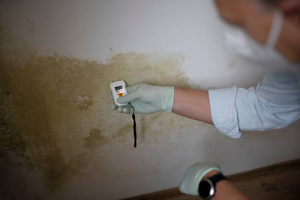 Water Damage Restoration in Cricket, NC