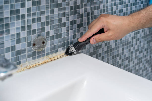  Cricket, NC Mold Removal Pros