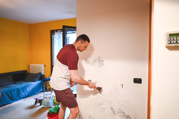 Best Affordable Mold Removal  in Cricket, NC