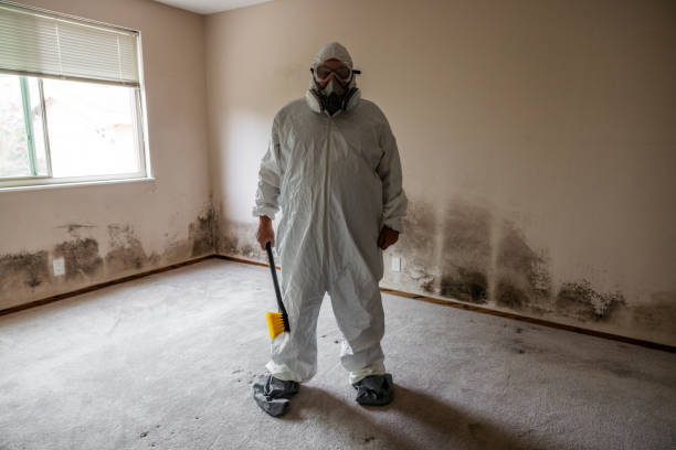 Best Black Mold Removal  in Cricket, NC